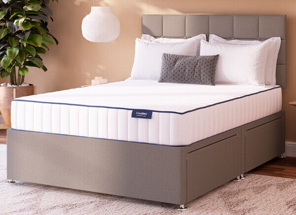 sleepmasters chantilly mattress